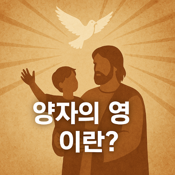 양자의 영