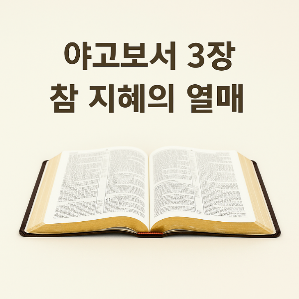 지혜의